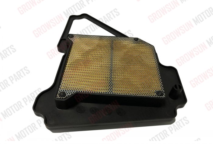 YBR125 AIR FILTER