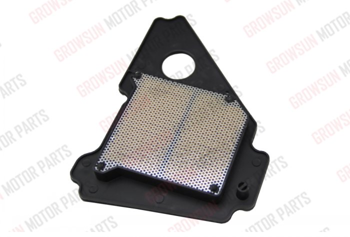 YBR125 AIR FILTER