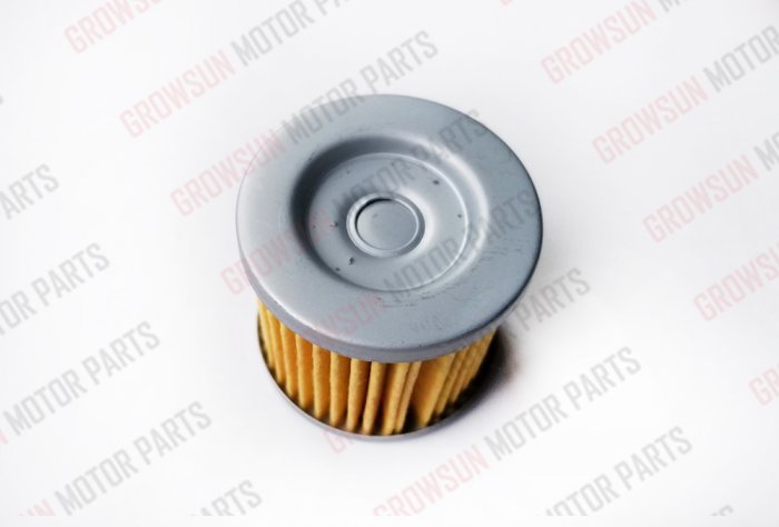 GN125 FUEL FILTER