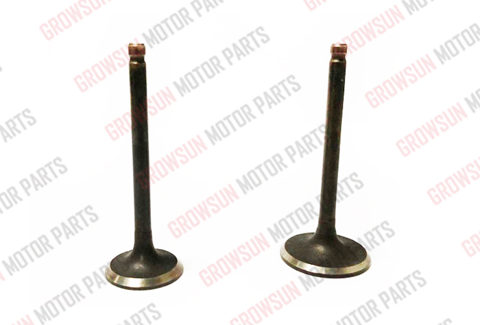 SMASH110 INTEL AND EXHAUST VALVE SET