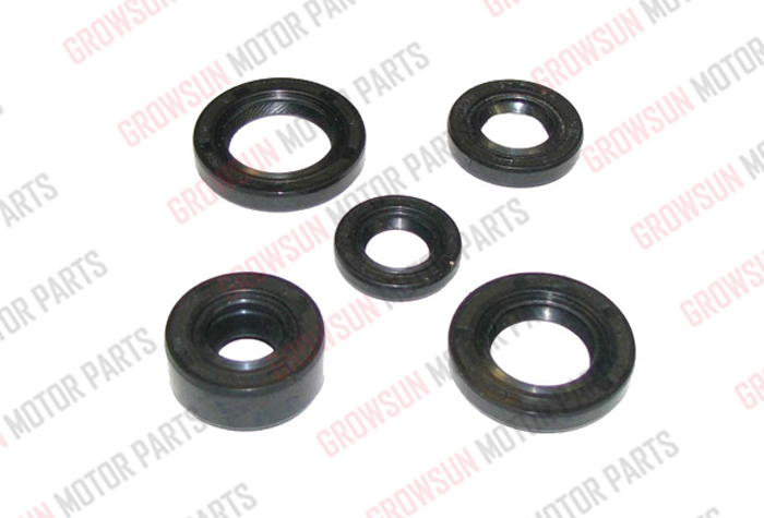 C90 OIL SEAL SET