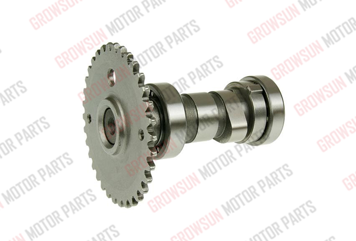 DS150 CAMSHAFT