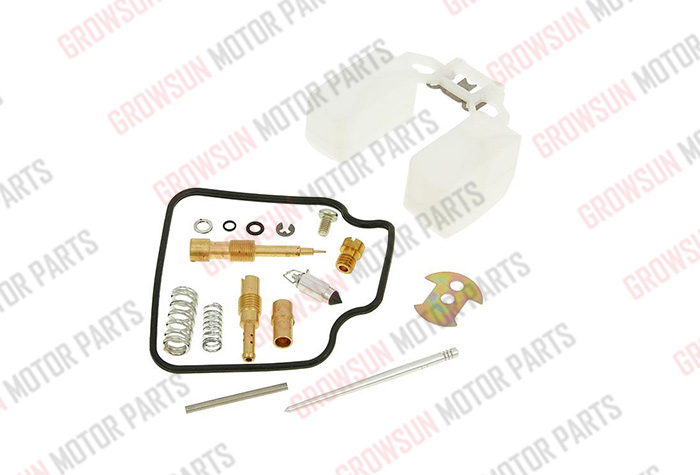 DS150 CARBURETOR REPAIR KIT