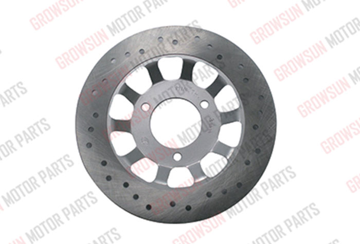 DS150 BRAKE PLATE