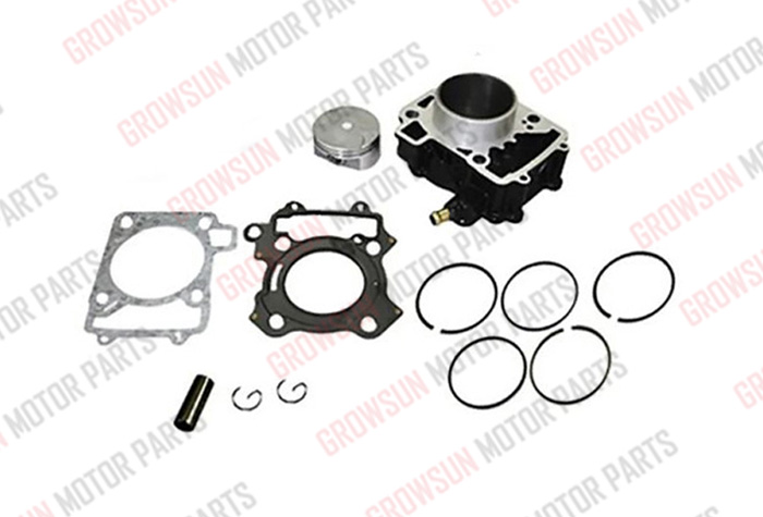 PULSAR 200NS CYLINDER KIT